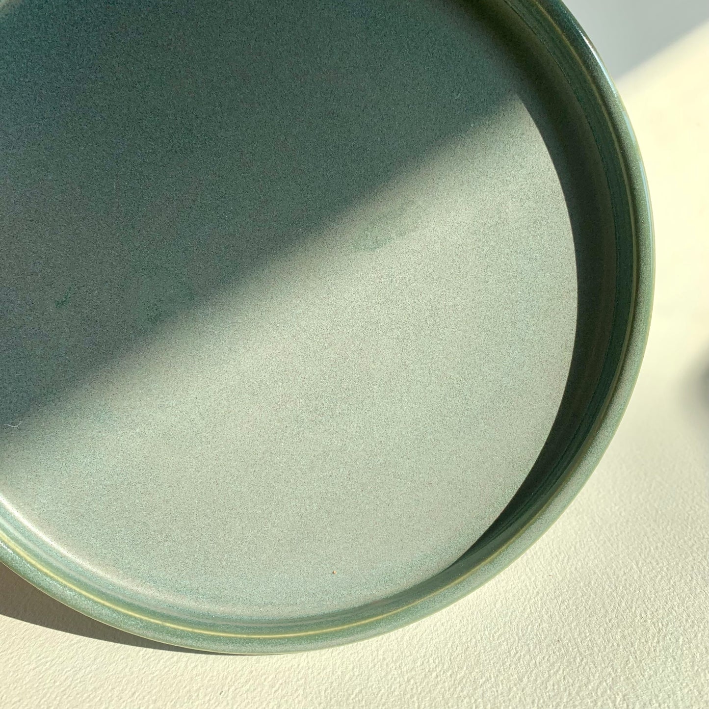 Modern Plate 9" (6)