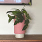 Pillar Planter